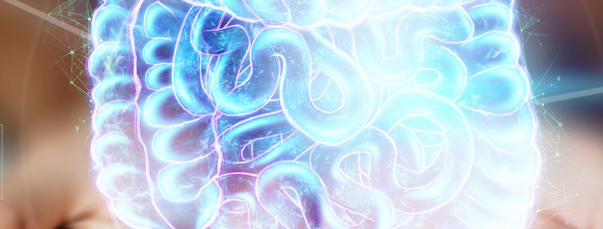 Les 3 piliers de la supplémentation intestinale