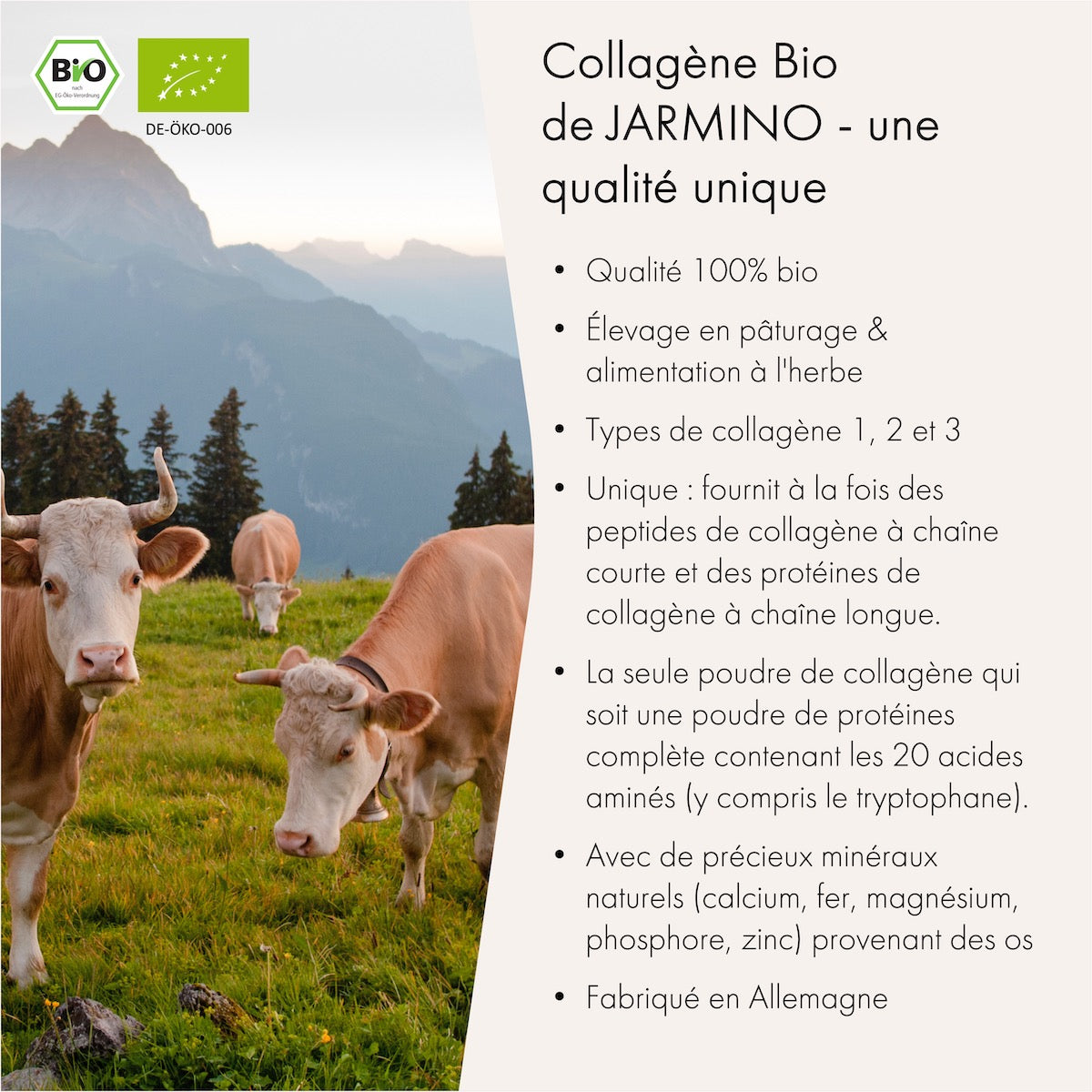 Collagène Bio + Barre de collagène GRATUITE
