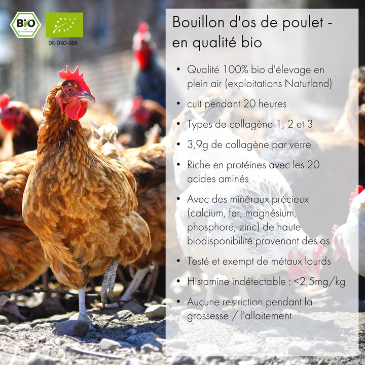 Lot de bocaux de bouillons d'os