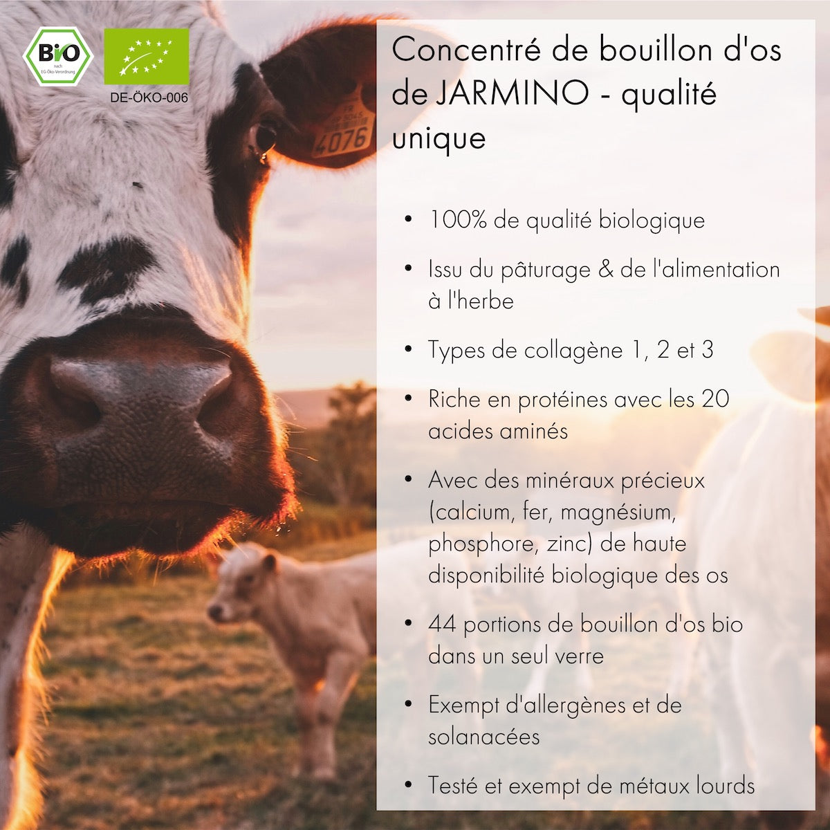 Concentré de bouillon d'os (440g)